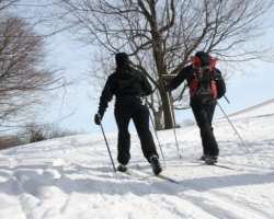 It is home to a small artificial lake named Beaver Lake. The most exciting feature of the lake is in winter when it water freezes it became a suitable